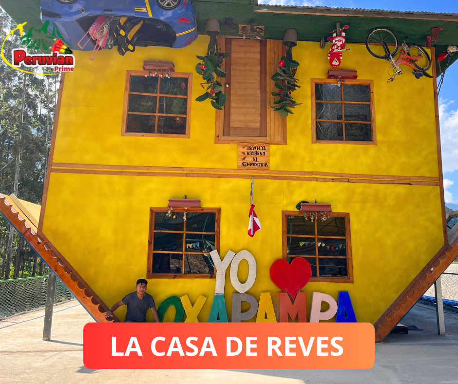 Imagen 5